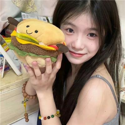 戴洛奇小镇第一季