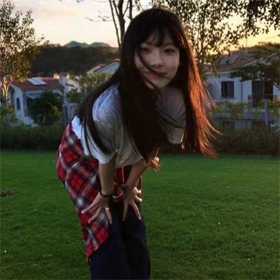 父仇者