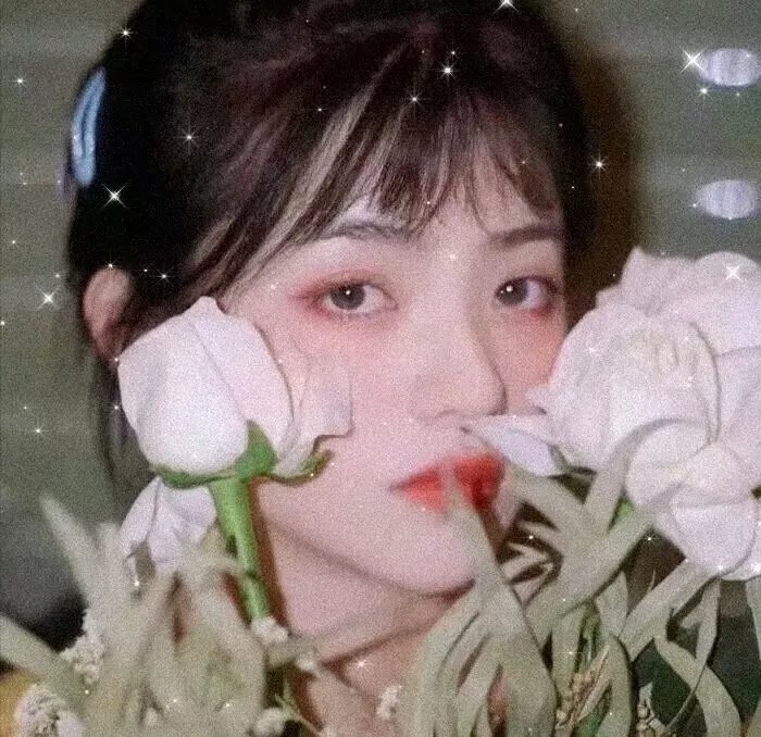 朵拉的安宁